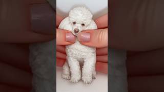 Squeeze and form ❤️ cute dog cutedog cat cutecat funny prank satisfying clay clayart [upl. by Zeidman]