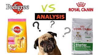 Royal canin vs Pedigree  Dry food  Wetcanned food [upl. by Portwine]