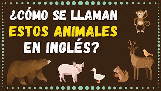 ¿Sabes Los Nombres de LOS ANIMALES en Inglés Prueba de 20 Preguntas [upl. by Pelmas]