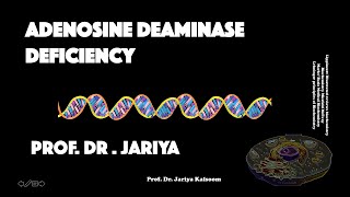 ADENOSINE DEAMINASE ADA  DEFICIENCY ENGLISH VERSION [upl. by Aikram839]