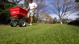 Lawn Renovation Preparation [upl. by Calvert891]