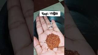 624 month baby food home made cerelac subscribe like cooking viralshort shortcutduniya [upl. by Llednav]