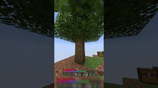 Minecraft One Block Beginning Song [upl. by Aicirtak]