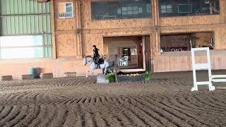 7yr Large Mare  Sale [upl. by Aisatna]