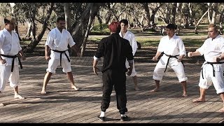 EXPECTATIONS VS REALITY  MARTIAL ARTS MOVIES [upl. by Aible]