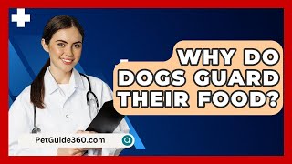 Why Do Dogs Guard Their Food  PetGuide360com [upl. by Anneyehc]