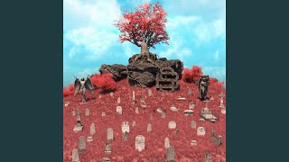 Cimitir [upl. by Enylorac]