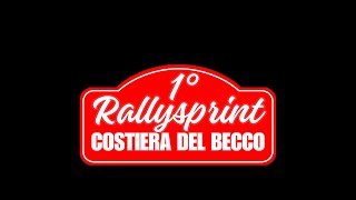 RALLYSPRINT COSTIERA DEL BECCO [upl. by Ymot138]