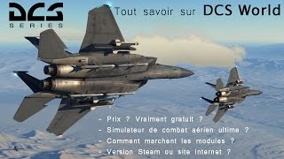 Tout savoir sur DCS World  La simulation de combat aérien ultime  Explications [upl. by Vincents]