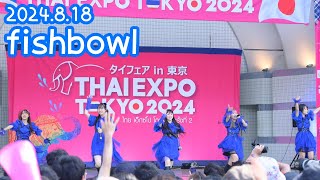 【THAI EXPO TOKYO 2024】2024818  fishbowl「熱波」【タイフェアin東京】 [upl. by Nylavad804]