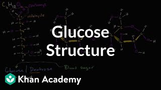 Molecular structure of glucose  Macromolecules  Biology  Khan Academy [upl. by Lorac]