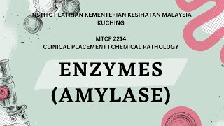 PRESENTATION ENZYMES AMYLASE SEMESTER 5 K22022 [upl. by Leinadnhoj]