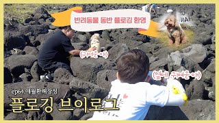 반려동물 동반 플로깅 환영 🐶🐱🐒🪿ㅣ채널064 EP64 플로그 플로깅 [upl. by Ydok]