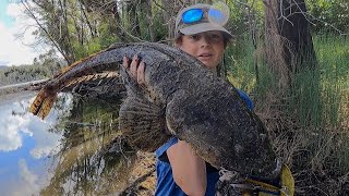 SAND FLAT FISHING FOR HUGE FLATHEAD [upl. by Moia]