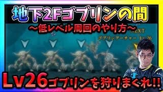 【WIZダフネ】ゴブリンの間の周回解説‼超ハイリスク超リターンを時短でつかみ取れ‼【Wizardry Variants Daphne】ウィズダフネ [upl. by Eustasius770]