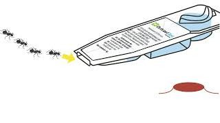 How To Use Outcast Ant Bait Stations from Syngenta [upl. by Noslen882]