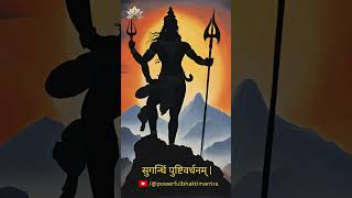 Most Powerful Mantra Of Lord Shiva  Maha Mrityunjaya Mantra powerfulmantra shorts [upl. by Alber]