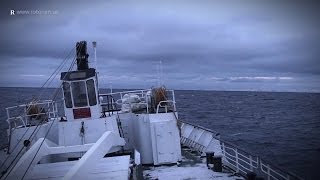 MS Lofoten Experience  Hurtigruten  50 years and still going strong [upl. by Anwahsiek884]