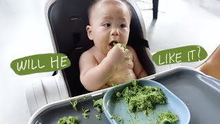 Scottie turns 8 months old  Spinach pesto recipe for babies  SKYfam [upl. by Leksehcey910]