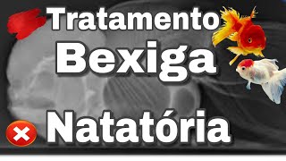 TRATAMENTO BEXIGA NATATÓRIA  DEU RUIM [upl. by Tevis]