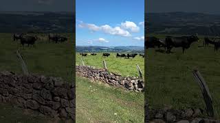 Cantabria 💢 monte Dobra [upl. by Anelac398]