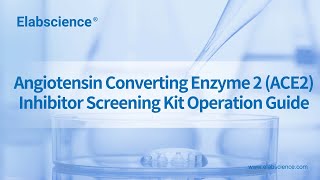 Angiotensin Converting Enzyme 2 ACE2 Inhibitor Screening Kit Operation Guide [upl. by Pentha]