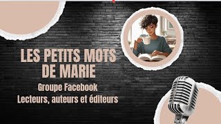 🎥 15 moyens de booster la promotion de votre livre sur les réseaux sociaux  📚  Podcast 4 [upl. by Hart]