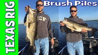 BIG BASS at Lake Toho on BRUSH PILES in the Spring [upl. by Nyvlem]