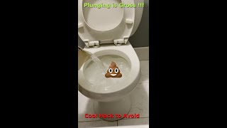 Fix Clogged Toilet no Plunge [upl. by Fidel153]