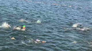 IRONMAN Copenhagen 2022 Swim [upl. by Gentry]