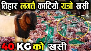 तिहार लगत्तै 40 kg को खसी काटियो  Khasi Ko Masu Banaune Tarika  Ghumne Maanchhe [upl. by Miharba]