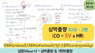 심박출량Cardiac output2편  1회심박출량stroke voulme 전부하preload후부하afterload심근수축력contractality [upl. by Burton]