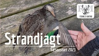 Strandjagt  Sæsonstart 2023 [upl. by Anayia]