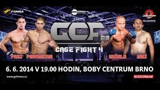 Jiří Procházka vs Martin Šolc — GCF Fight Night 26 [upl. by Ayekahs556]