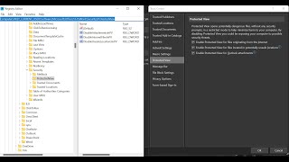 Where is the Protected View Registry Key for Microsoft Office [upl. by Vaden633]