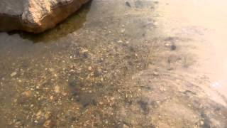 JHARKHAND TOURISM Tattapani hot water spring by Govind Pathak [upl. by Ivar]