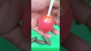 Banana leaf caterpillars in Surprise Eggs [upl. by Luapnaej]