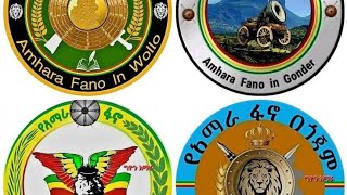 ዘመዴ ነጨ ነጯን። በሬዬን ሽጬ ዲሽ ገዛሁኝ መረጃ ቲቪ ለማየት። zemede merjatv [upl. by Zannini]