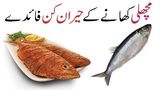 Fish ke Fayde  Daily Fish Khane ke Fayde  Benefits of Eating Fish in urdu [upl. by Eerahc]