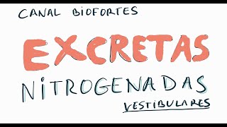 EXCRETAS NITROGENADAS [upl. by Ythomit]