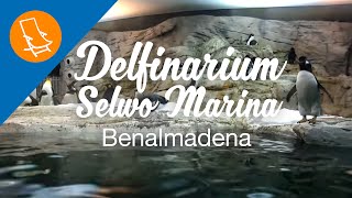 Delfinarium Selwo Marina in Benalmadena [upl. by Yoj]