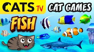 CAT GAMES 🌊📺🐟 FISH Compilation for cats 🐠🙀 4K 60 FPS 3 HOURS [upl. by Sydel284]