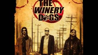 The Winery Dogs  Elevate [upl. by Negris]