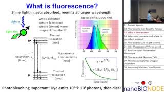 Physics 598 Lecture 2 Fluorescence Lifetimes and FRET Lab 1 [upl. by Kinom]