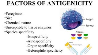 Antigenicity factors [upl. by Fillbert]