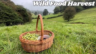 Foraging Walk in Late Summer  Wild Food Harvest [upl. by Terrill]