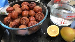 MEDLARS  Making Medlar jelly from my own home grown fruits for the first time ever [upl. by Airla]