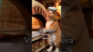 Se Mandarino fosse un pizzaiolo gattidivertenti vitadagatto [upl. by Uok76]