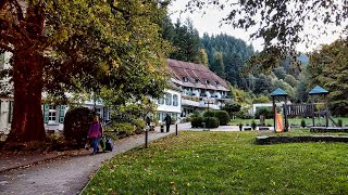 德國蘇爾茨堡Sulzburg森林中【Waldhotel Bad Sulzburg】 四星級酒店 Sulzburg Germany [upl. by Ameh]