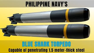 PHILIPPINE NAVYS ANTISUBMARINE TORPEDOES  Now Installed [upl. by Notsniw912]